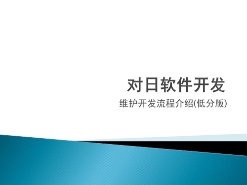 对日软件开发-维护开发流程(低分)