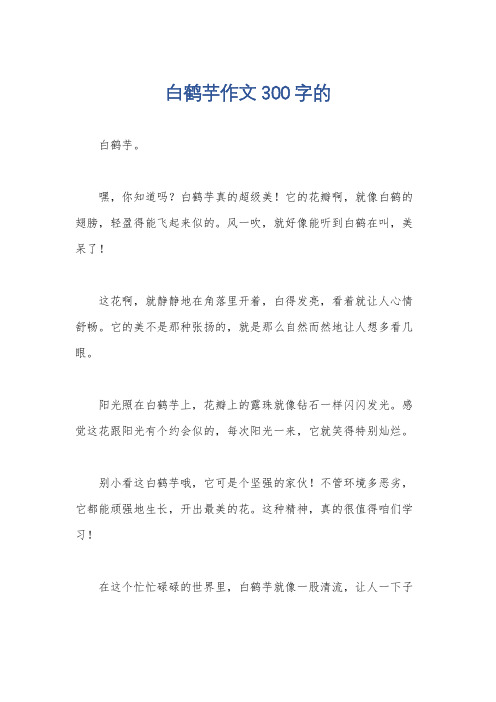 白鹤芋作文300字的