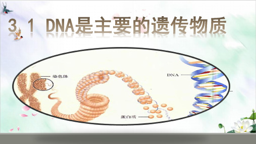 DNA是主要的遗传物质