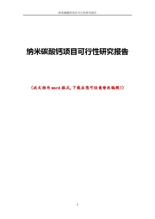 纳米碳酸钙项目可行性研究报告