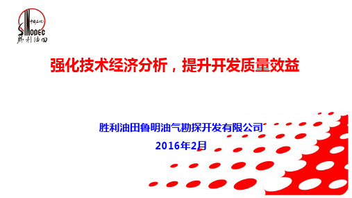 强化技术经济分析提升开发质量效益讲述