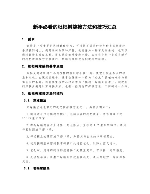 新手必看的枇杷树嫁接方法和技巧汇总