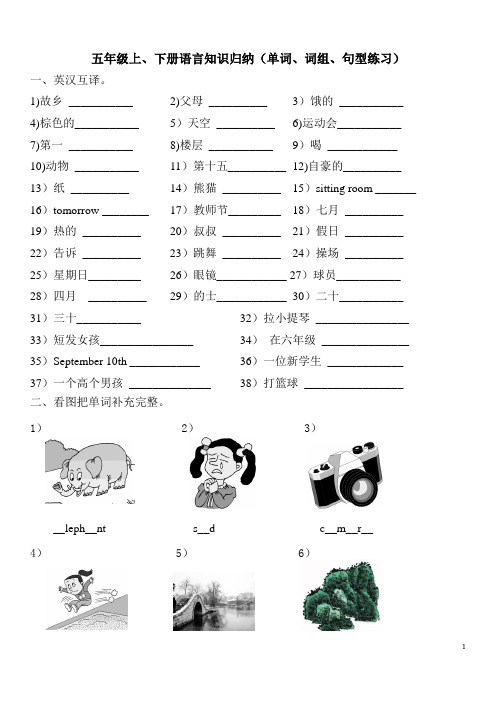 闽教版小学五年级英语复习材料