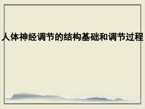 苏教版高中生物必修三第二章人体神经调节的结构基础和调节过程教学课件共18张PPT18张