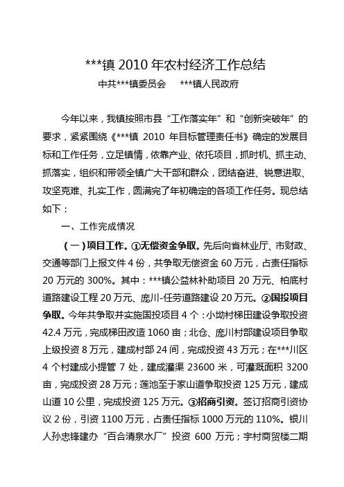 2010年终工作总结(定稿0