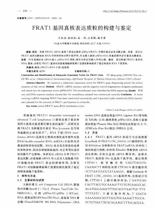 FRAT1基因真核表达质粒的构建与鉴定