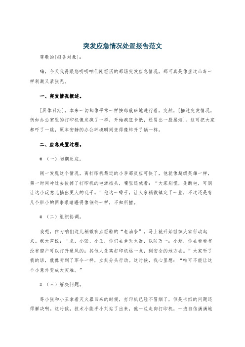 突发应急情况处置报告范文