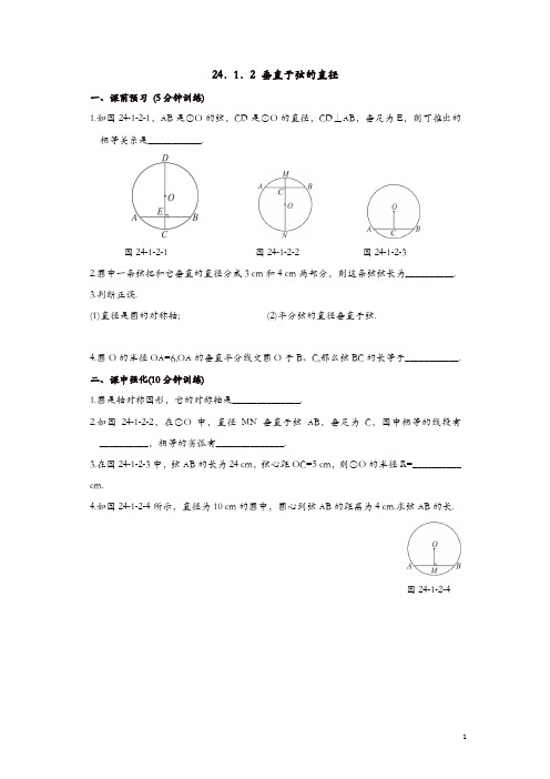 【精品】人教版九年级数学上册同步练习:24.1.2 垂直于弦的直径
