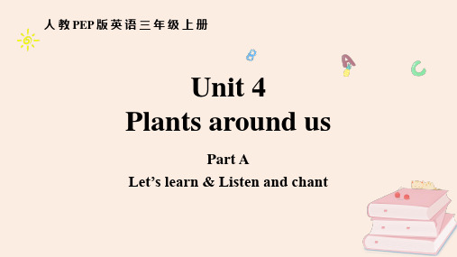 《Plants around us》PartA PPT课件(第2课时)