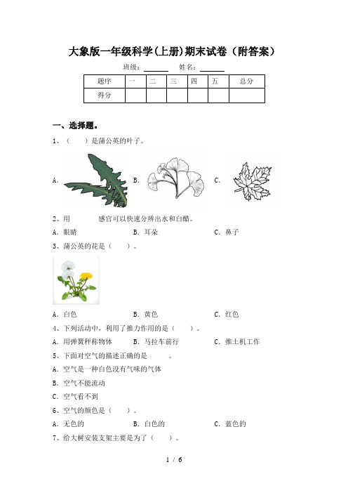 大象版一年级科学(上册)期末试卷(附答案)