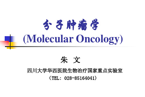 分子肿瘤学(四川大学国家重点实验室)