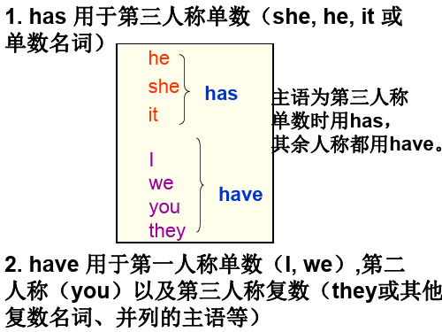 have和has的用法讲解