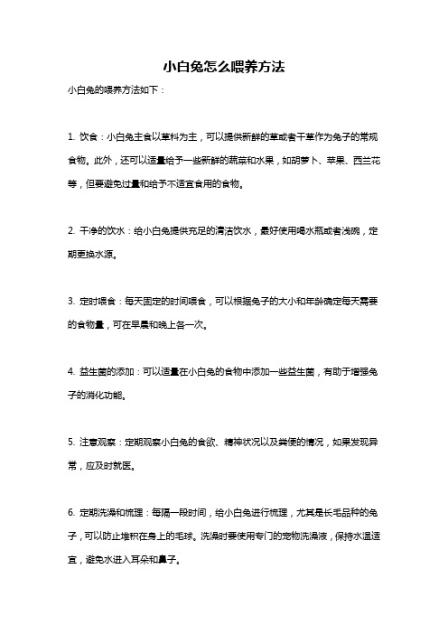 小白兔怎么喂养方法