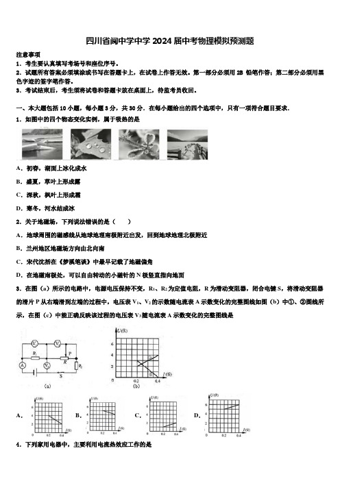 四川省阆中学中学2024届中考物理模拟预测题含解析