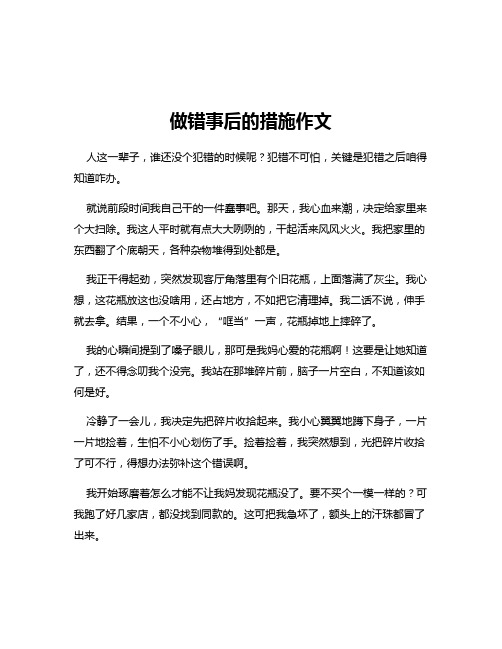 做错事后的措施作文