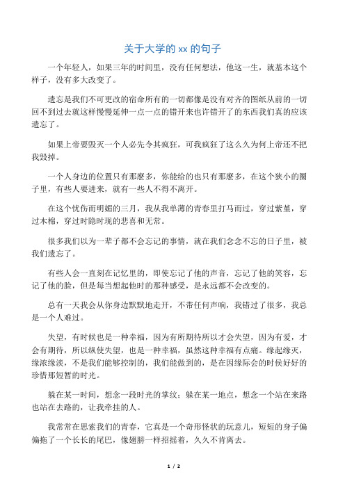 关于大学的青春的句子