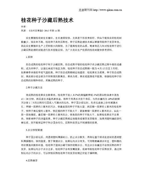 桂花种子沙藏后熟技术