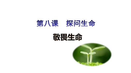 8.2 敬畏生命 课件(22张PPT)-2023-2024学年部编版道德与法治七年级上册