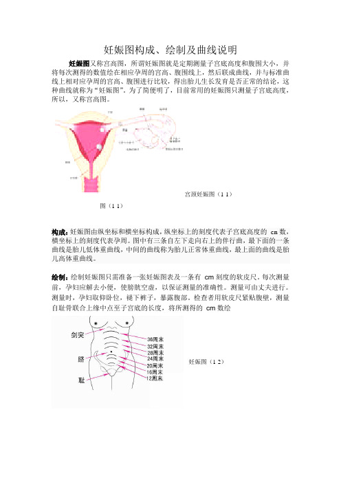 (完整版)妊娠图构成