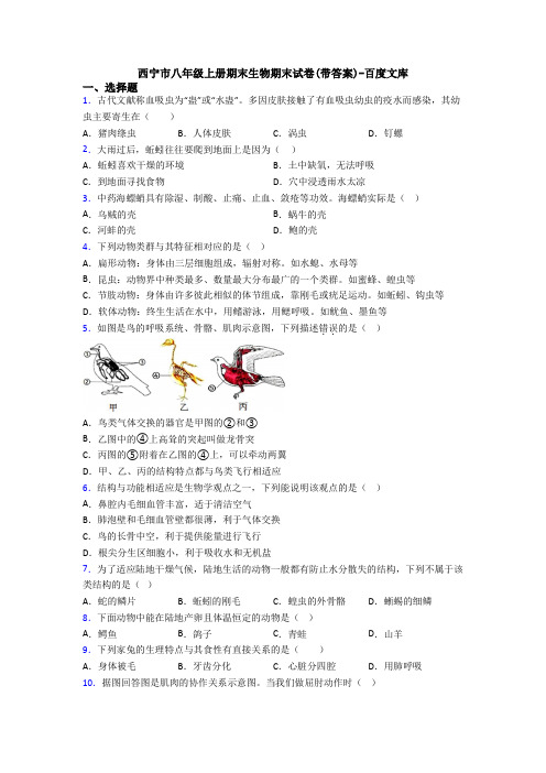 西宁市八年级上册期末生物期末试卷(带答案)-百度文库