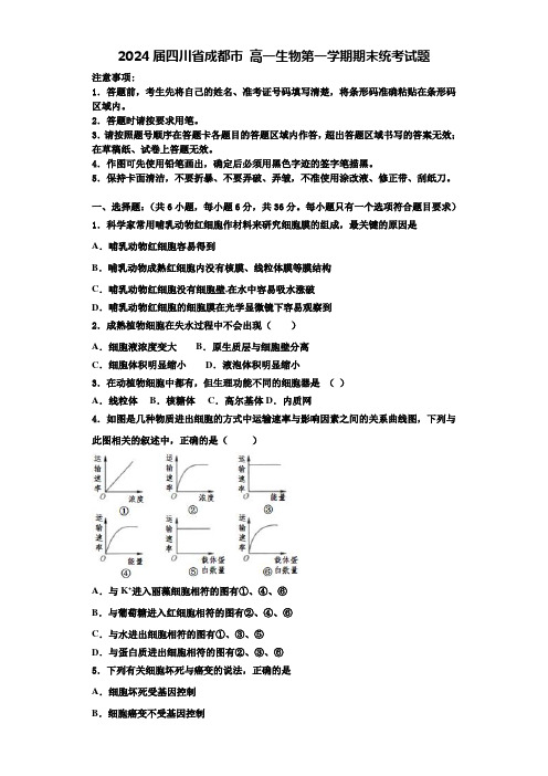 2024届四川省成都市 高一生物第一学期期末统考试题含解析