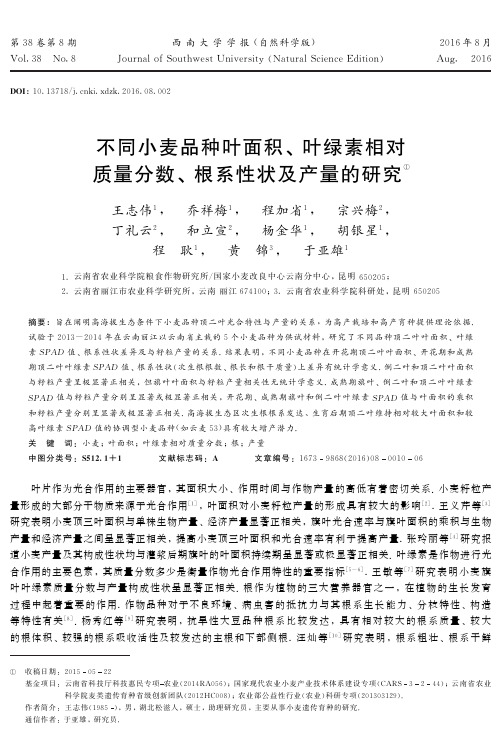 不同小麦品种叶面积、叶绿素相对质量分数、根系性状及产