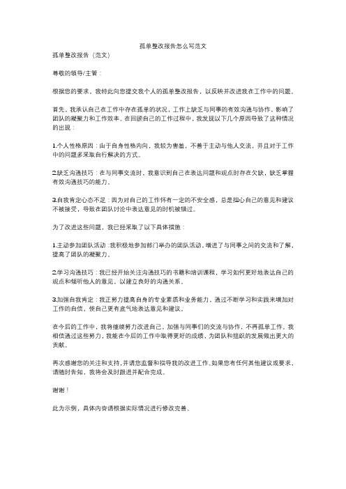 孤单整改报告怎么写范文