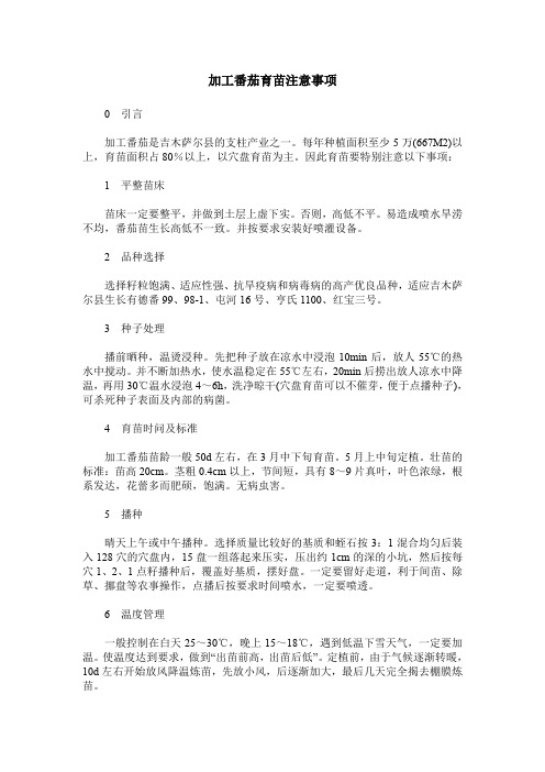 加工番茄育苗注意事项