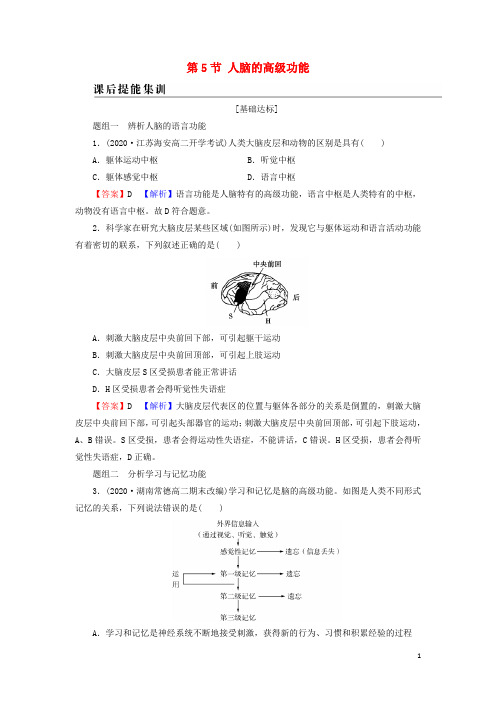 高中生物第2章神经调节第5节人脑的高级功能训练新人教版选择性必修1
