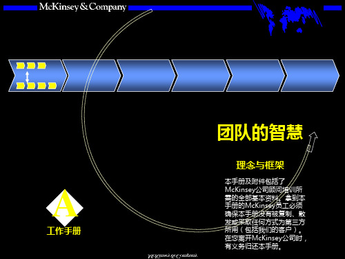 麦肯希工作手册---团队智慧[教材]