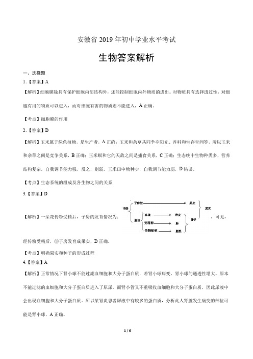 2019年安徽省中考生物试卷-答案