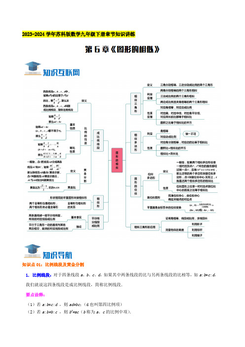 第6章《图形的相似》知识讲练(学生版)