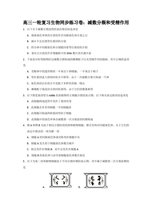 高三一轮复习生物同步练习卷：减数分裂和受精作用