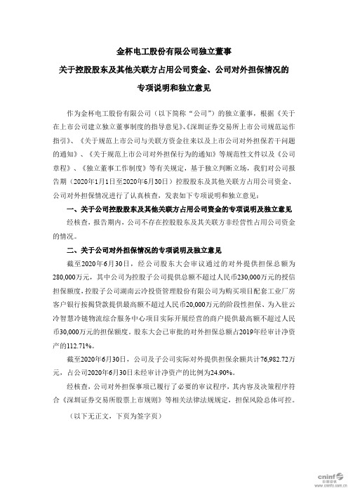 金杯电工：独立董事关于控股股东及其他关联方占用公司资金、公司对外担保情况的专项说明和独立意见