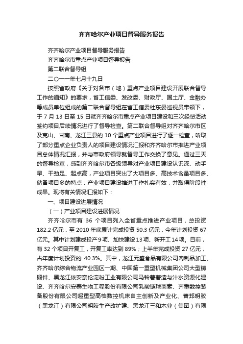 齐齐哈尔产业项目督导服务报告