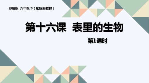 《表里的生物》精品优质完整教学PPT课件(精选4篇)