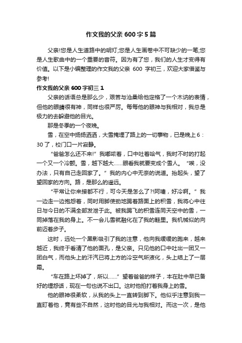 作文我的父亲600字5篇