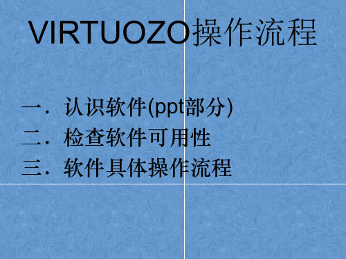 VIRTUOZO操作作业流程介绍