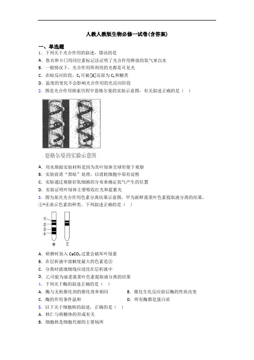 人教人教版生物必修一试卷(含答案)