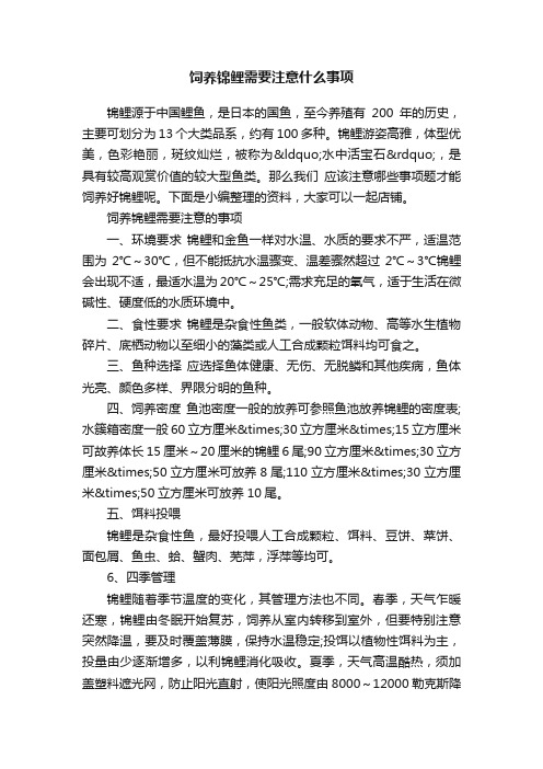 饲养锦鲤需要注意什么事项