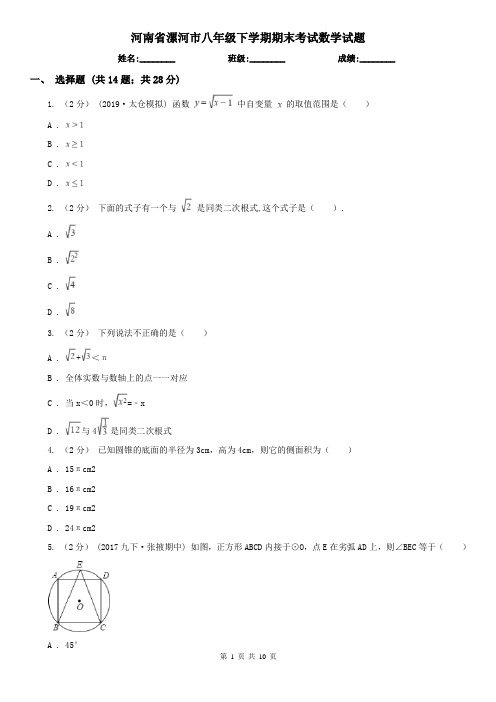 河南省漯河市八年级下学期期末考试数学试题 