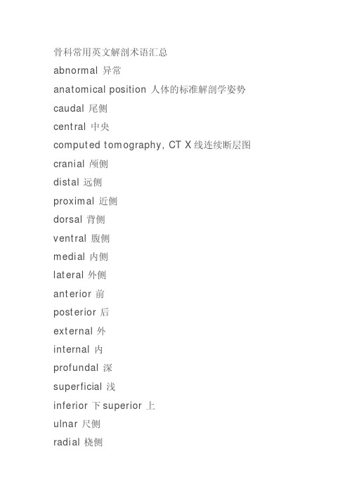 骨科常用英文解剖术语汇总