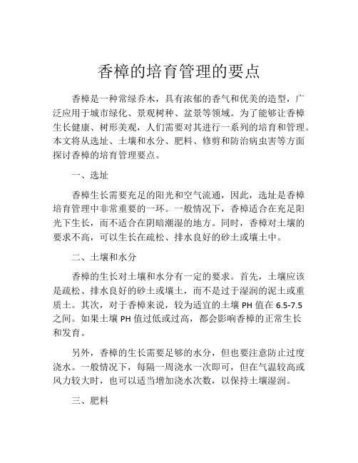 香樟的培育管理的要点