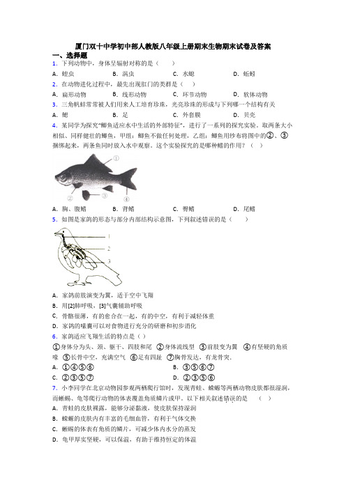 厦门双十中学初中部人教版八年级上册期末生物期末试卷及答案