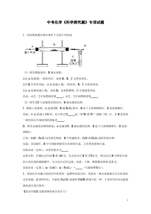 中考化学《科学探究题》专项试题含答案