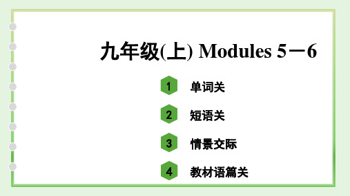 中考英语外研版教材单词语境分册练习九年级(上) Modules 5-6