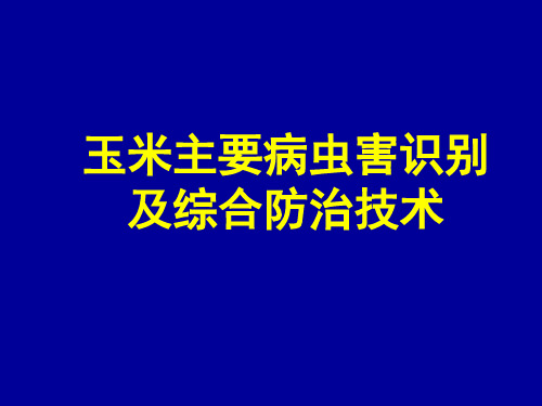 玉米主要病虫害识别