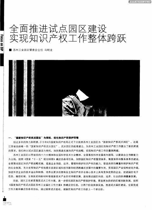 全面推进试点园区建设实现知识产权工作整体跨跃