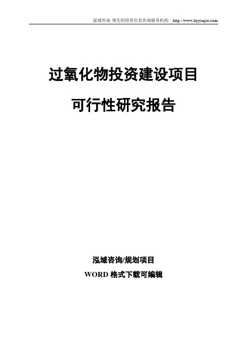 过氧化物投资建设项目可行性研究报告