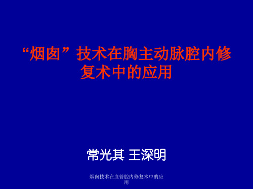 烟囱技术在血管腔内修复术中的应用 ppt课件